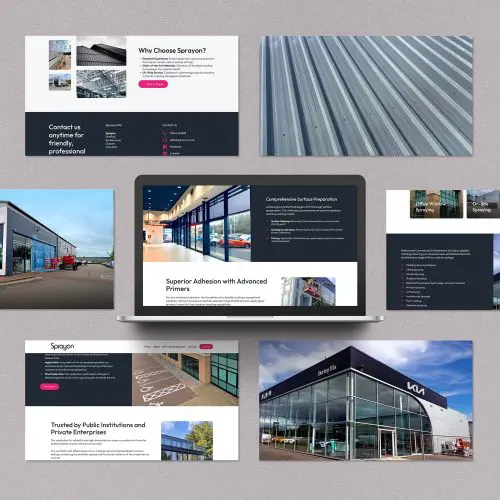 Commercial paint sprayer website design